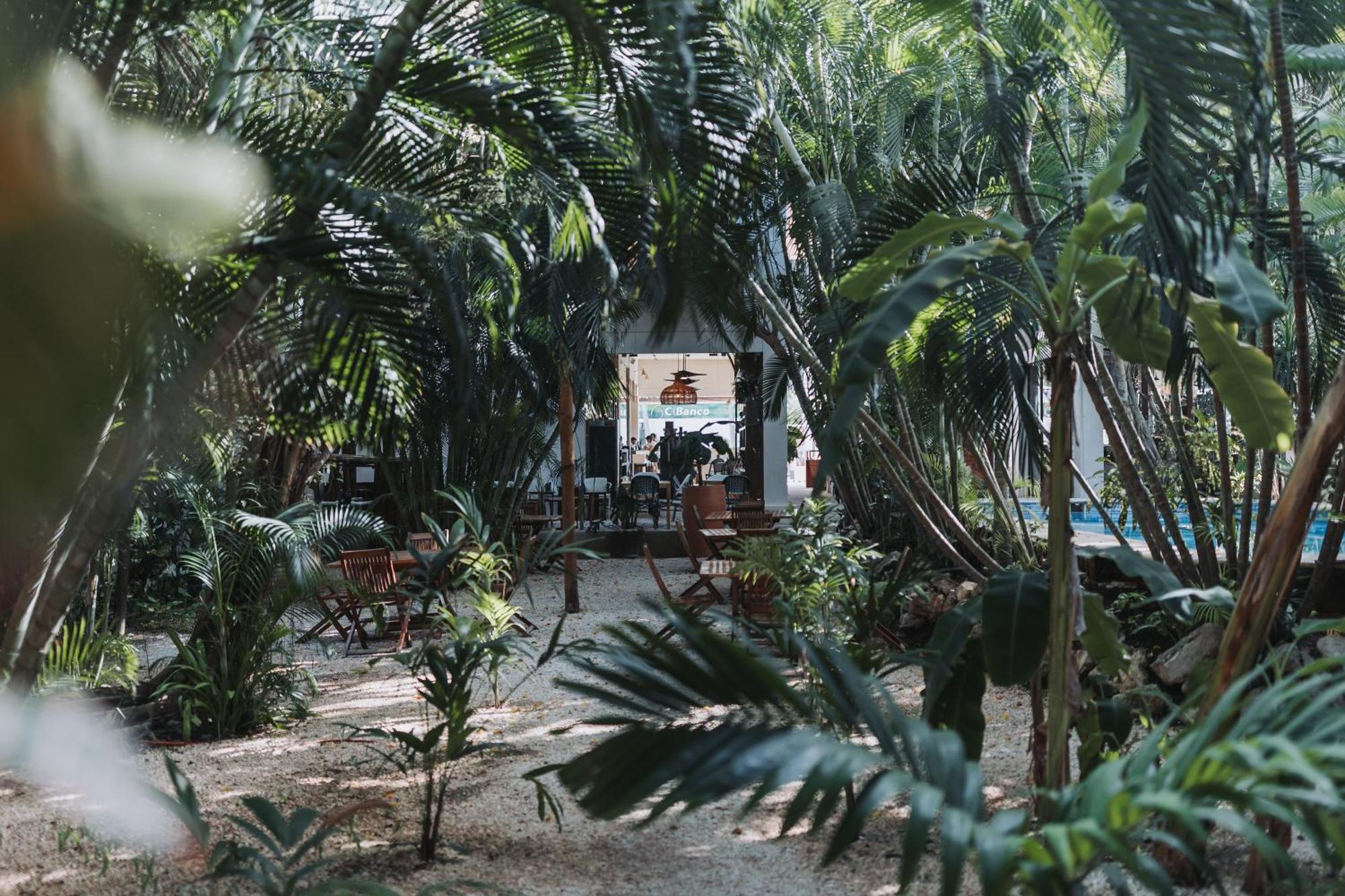 Hotel Casa Barbara Isla Holbox Bagian luar foto